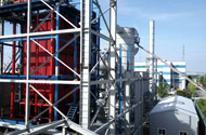 30t caldera de biomasa para fábrica de cuero en Corea 